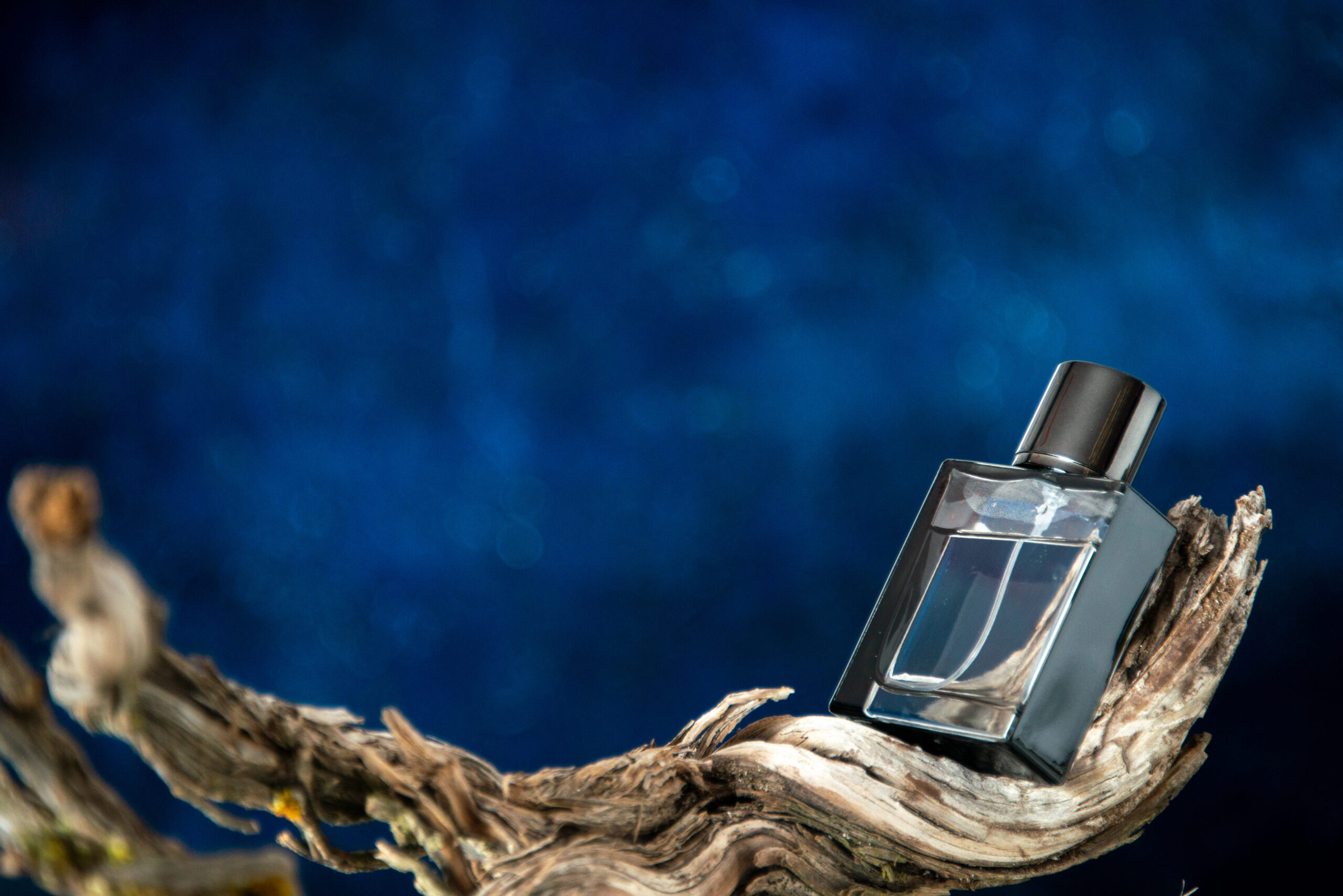 front-view-men-perfume-branch-rotten-wood-dark-blue-background